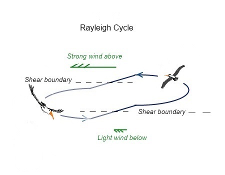 rayleigh cycle3